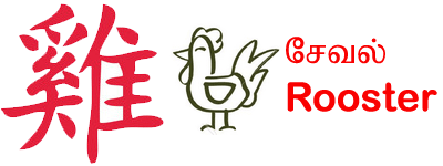 Rooster