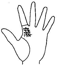 Lines and Signs on Mounts