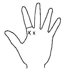 Lines and Signs on Mounts