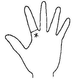 Lines and Signs on Mounts