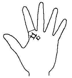 Lines and Signs on Mounts