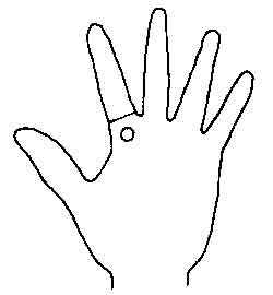 Lines and Signs on Mounts