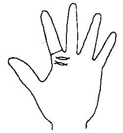 Lines and Signs on Mounts