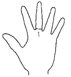 Lines and Signs on Mounts