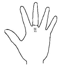 Lines and Signs on Mounts