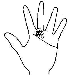 Lines and Signs on Mounts