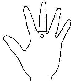 Lines and Signs on Mounts