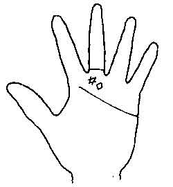 Lines and Signs on Mounts