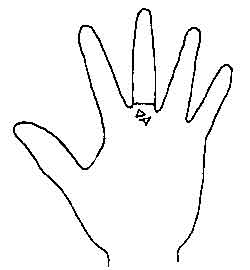 Lines and Signs on Mounts