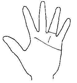 Lines and Signs on Mounts