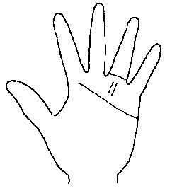 Lines and Signs on Mounts