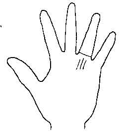 Lines and Signs on Mounts