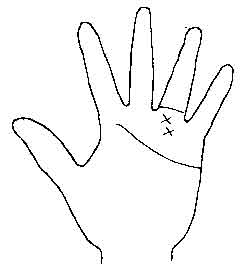 Lines and Signs on Mounts