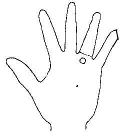 Lines and Signs on Mounts