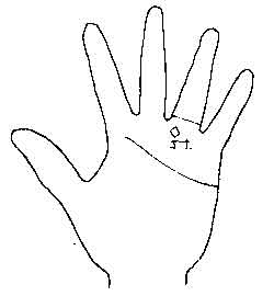 Lines and Signs on Mounts