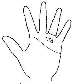 Lines and Signs on Mounts