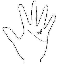 Lines and Signs on Mounts