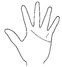 Lines and Signs on Mounts