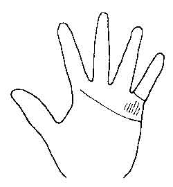 Lines and Signs on Mounts