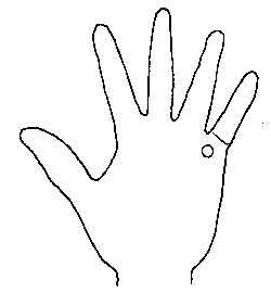 Lines and Signs on Mounts