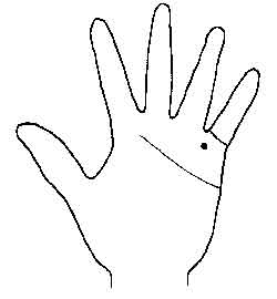 Lines and Signs on Mounts