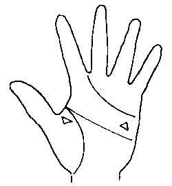 Lines and Signs on Mounts