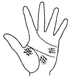 Lines and Signs on Mounts