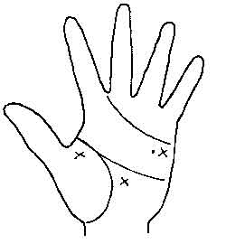 Lines and Signs on Mounts