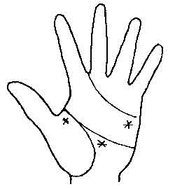 Lines and Signs on Mounts