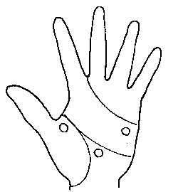 Lines and Signs on Mounts