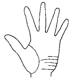 Lines and Signs on Mounts