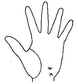 Lines and Signs on Mounts