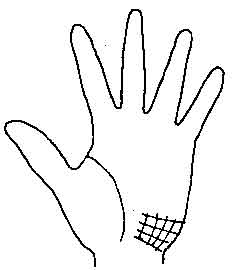 Lines and Signs on Mounts