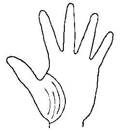 Lines and Signs on Mounts