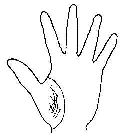 Lines and Signs on Mounts