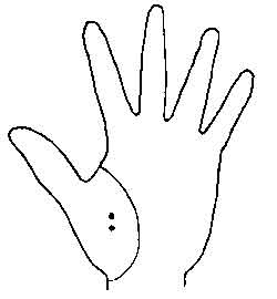 Lines and Signs on Mounts