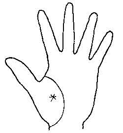 Lines and Signs on Mounts