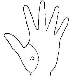 Lines and Signs on Mounts