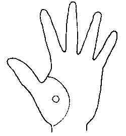 Lines and Signs on Mounts