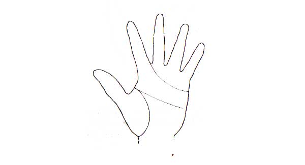 Learn Palmistry in simple language