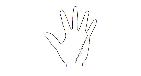 Learn Palmistry in simple language