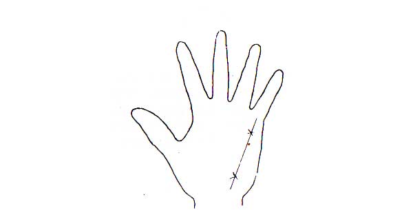 Learn Palmistry in simple language