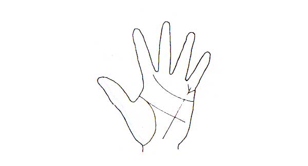 Learn Palmistry in simple language