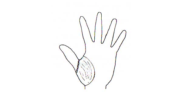 Learn Palmistry in simple language