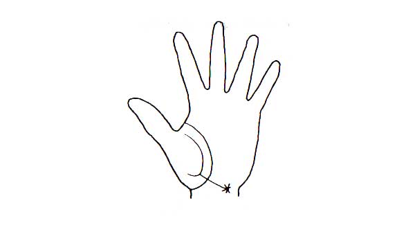 Learn Palmistry in simple language