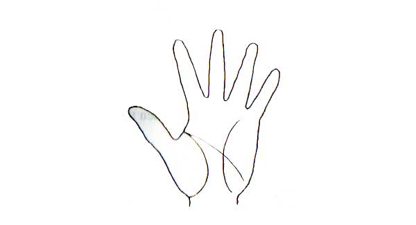 Learn Palmistry in simple language