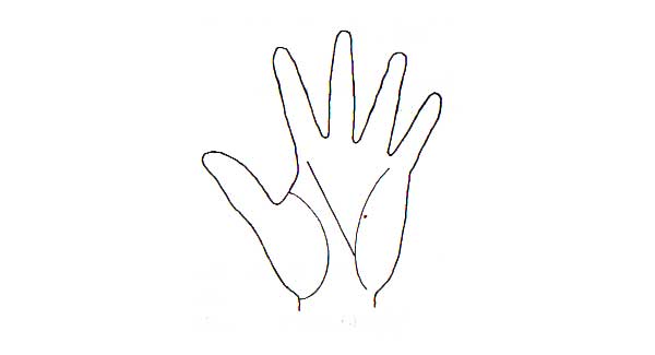 Learn Palmistry in simple language