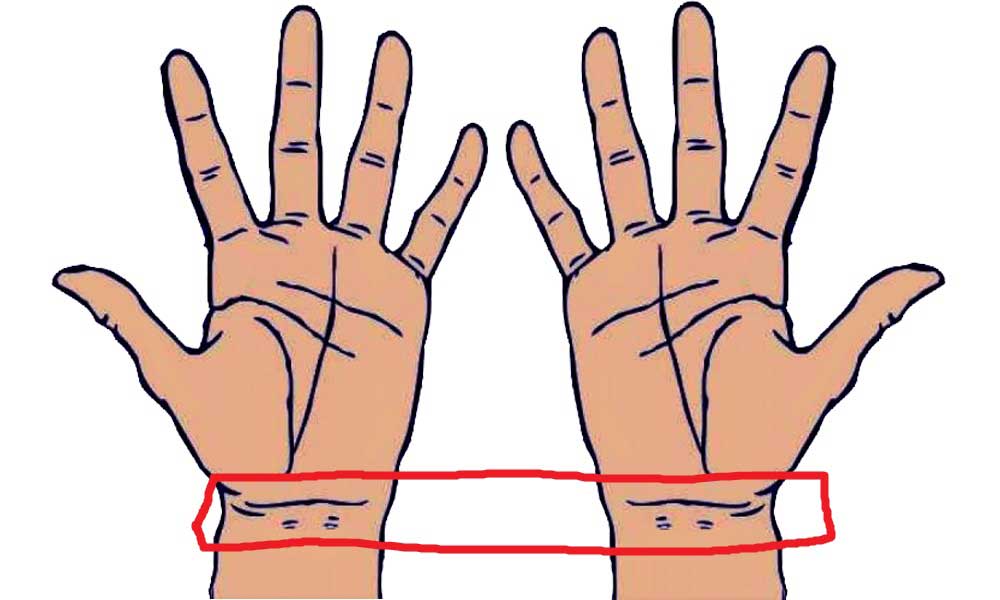 Learn Palmistry in simple language