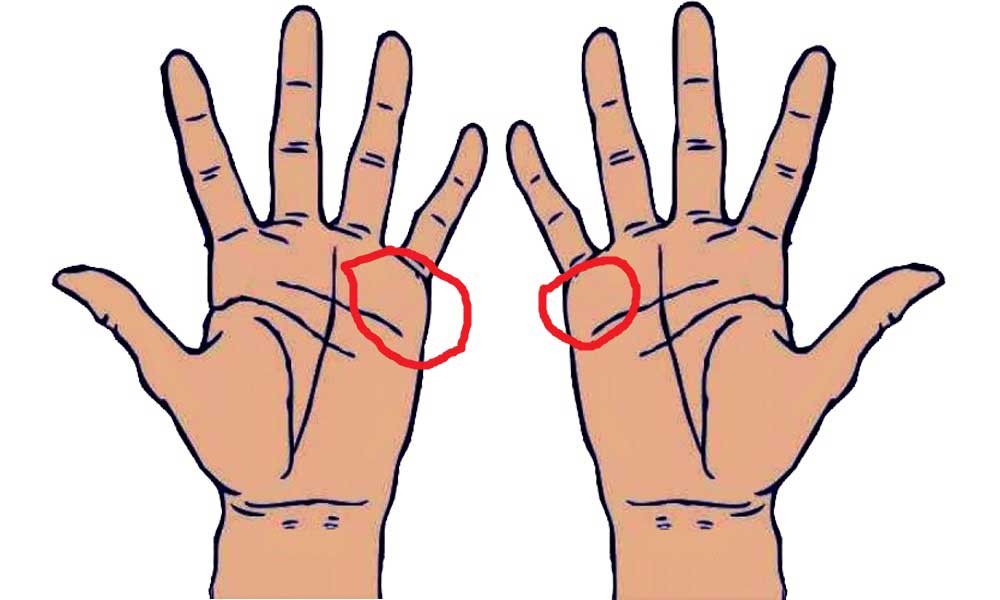 Learn Palmistry in simple language