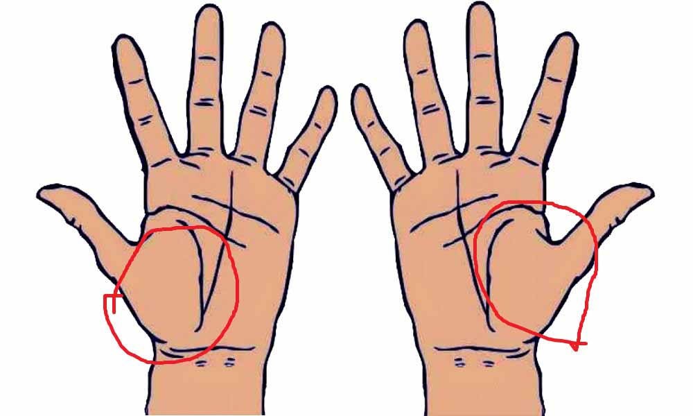 Learn Palmistry in simple language